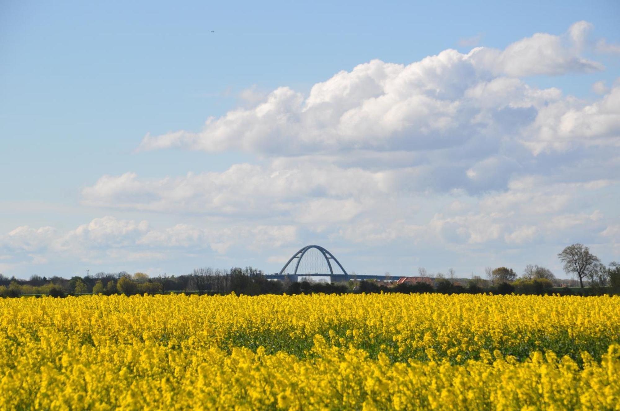 Komfort-Wohnung 03 Fehmarnbrise Burg auf Fehmarn Esterno foto